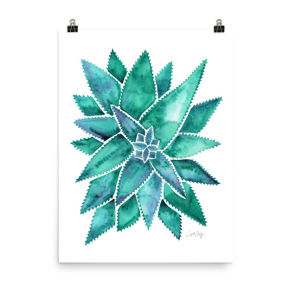 Aloe Vera - Turquoise