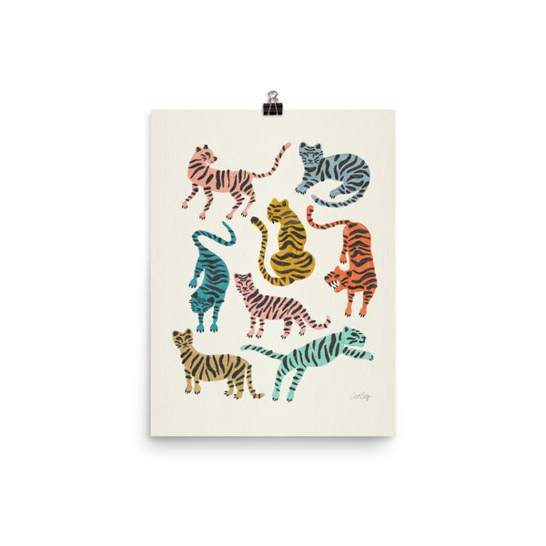 Tiger Collection - Retro Rainbow