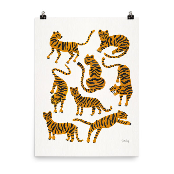 Tiger Collection - Orange