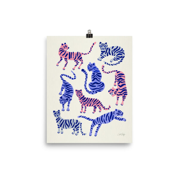 Tiger Collection - Periwinkle Blush