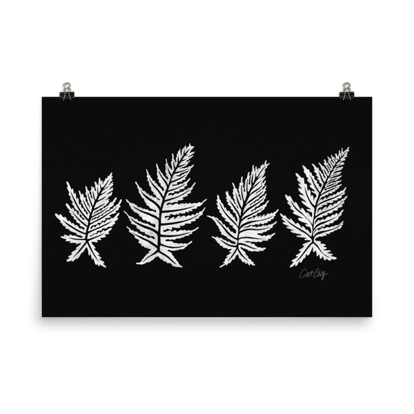 Inked Ferns – White Ink on Black • Art Print
