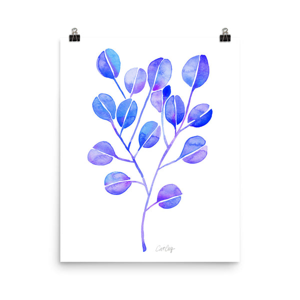 Eucalyptus - Periwinkle