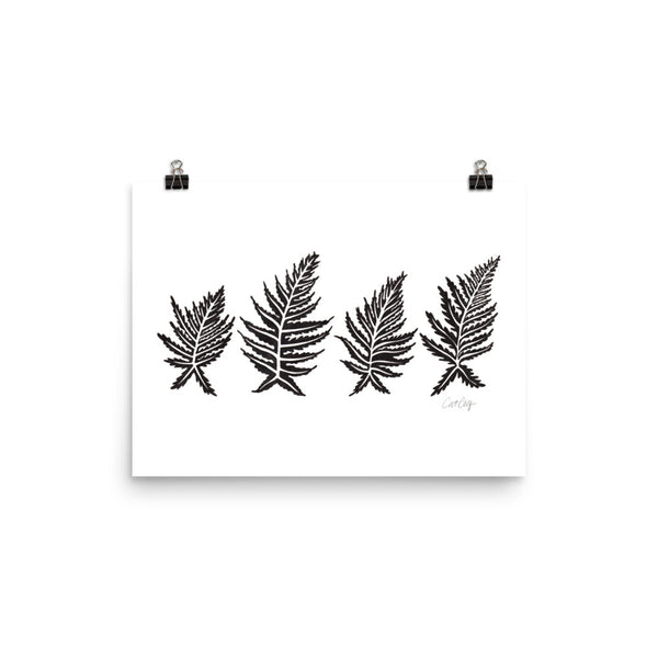 Inked Ferns – Black Ink • Art Print