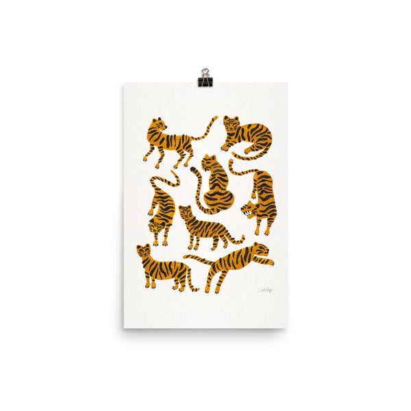 Tiger Collection - Orange