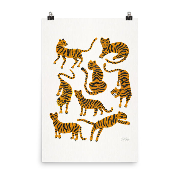 Tiger Collection - Orange