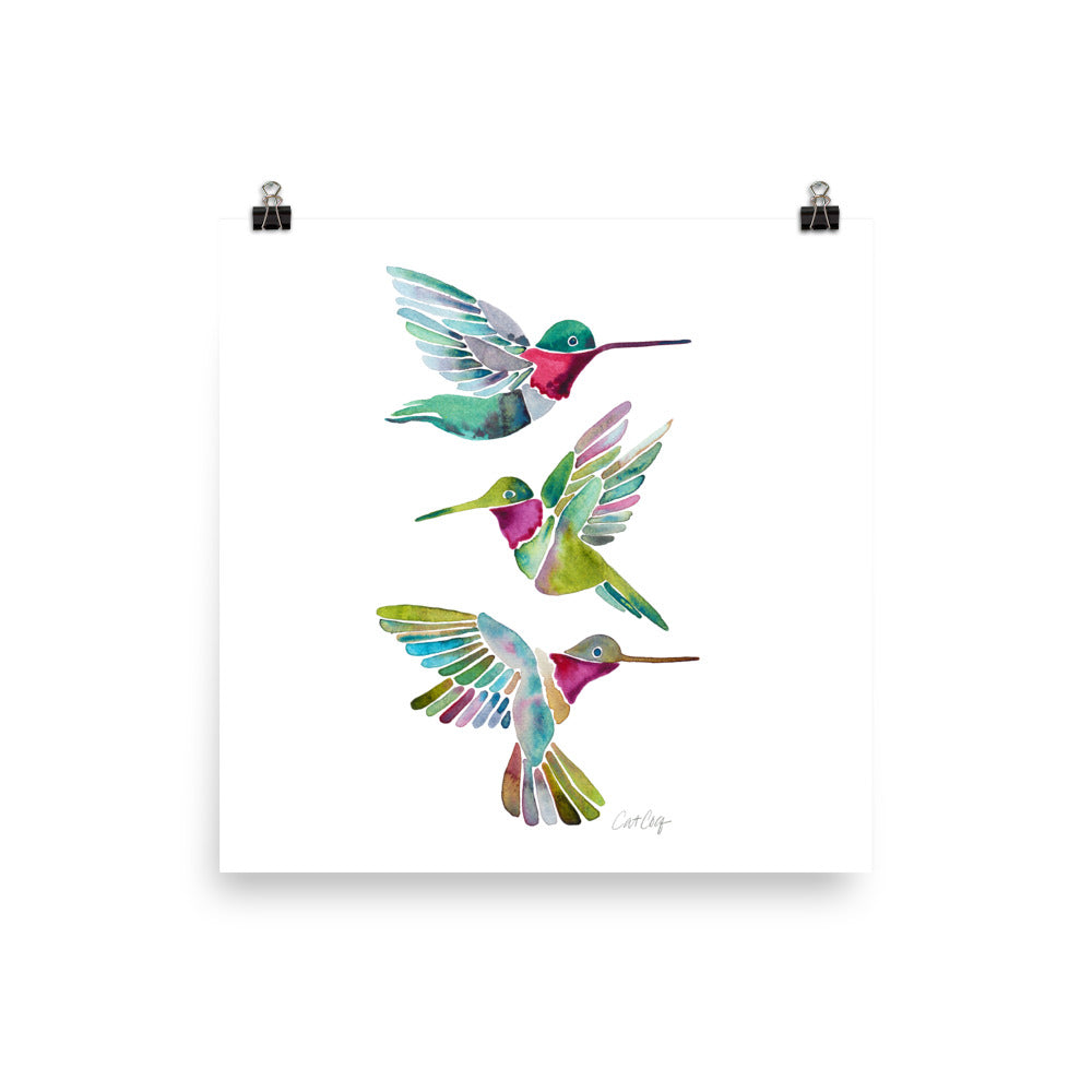 Humming Bird - Transparent