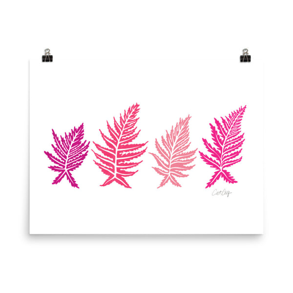 Inked Ferns – Pink Ombré Ink • Art Print