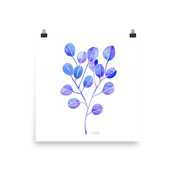 Eucalyptus - Periwinkle