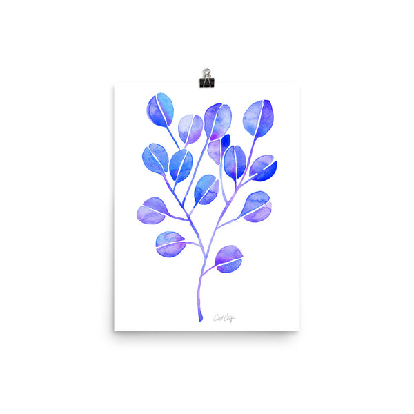 Eucalyptus - Periwinkle
