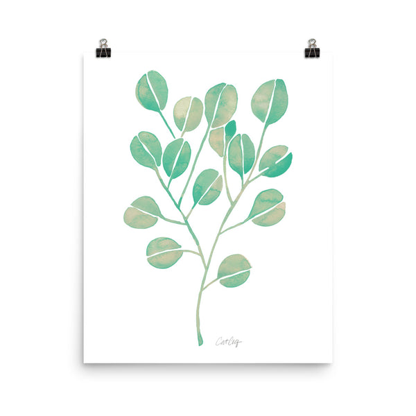 Eucalyptus - Mint