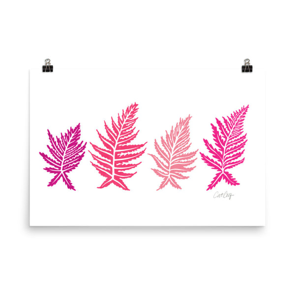 Inked Ferns – Pink Ombré Ink • Art Print