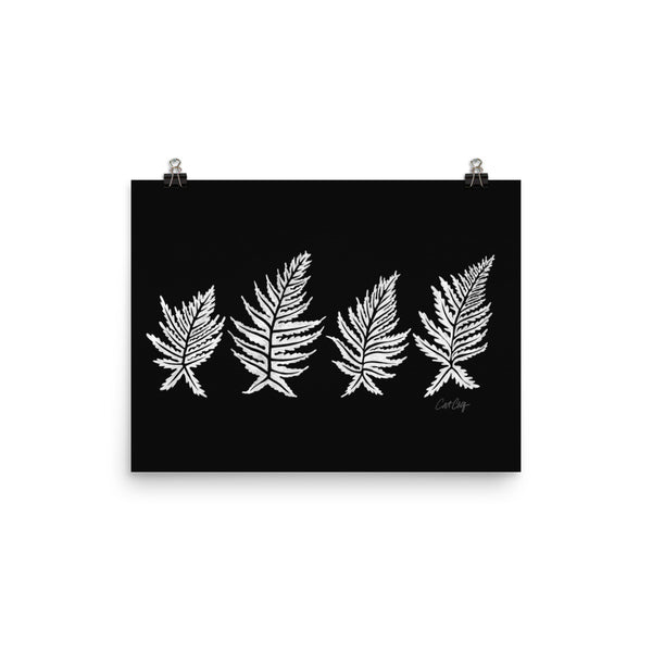 Inked Ferns – White Ink on Black • Art Print