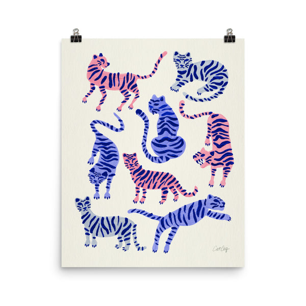 Tiger Collection - Periwinkle Blush