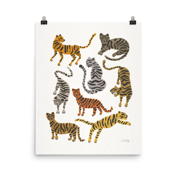 Tiger Collections - Neutrals