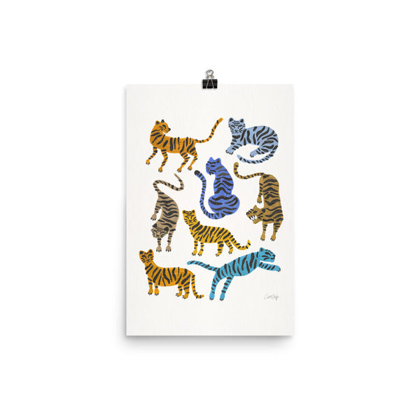 Tiger Collection - Blue & Tan