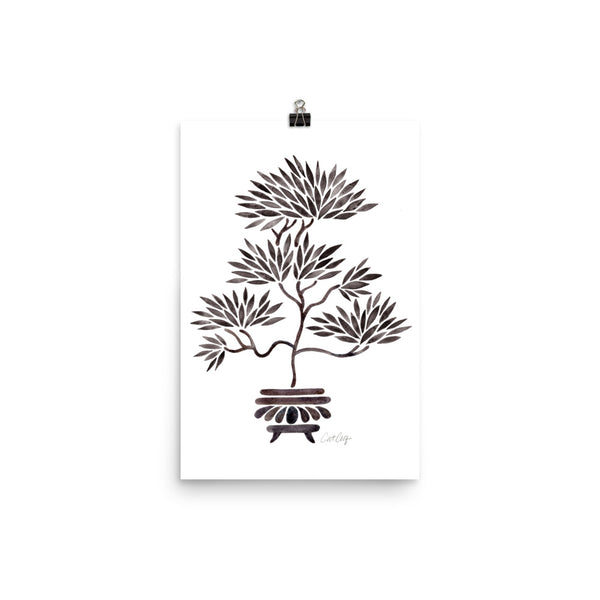 Bonsai- Black