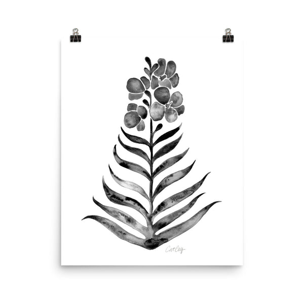 Black Orchid Bloom • Art Print