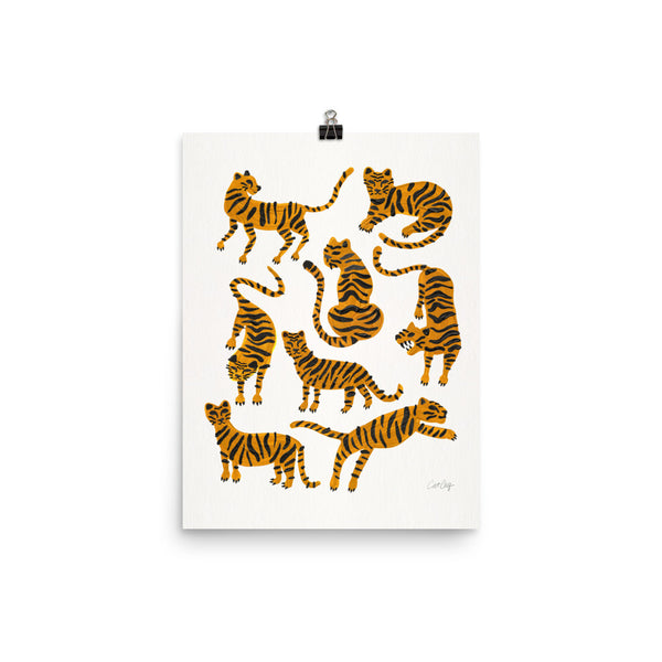 Tiger Collection - Orange