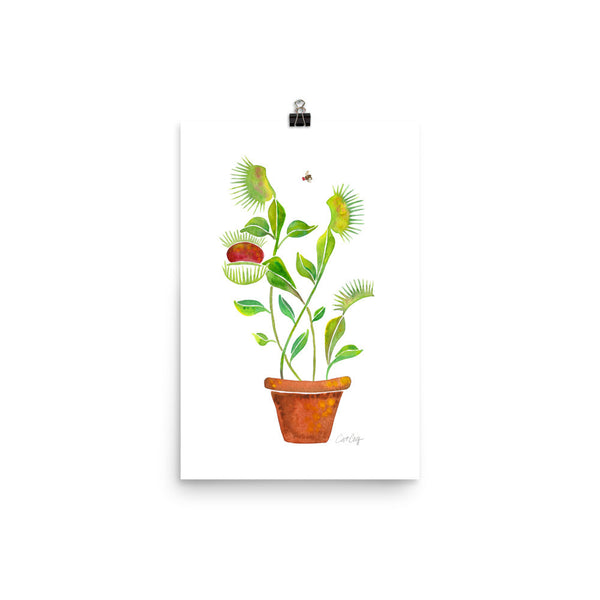 Venus Fly Trap • Art Print