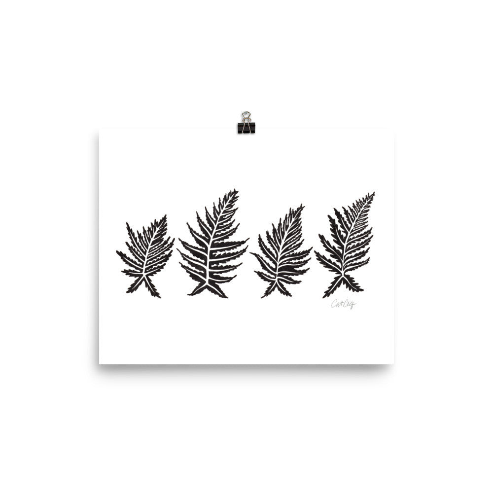 Inked Ferns – Black Ink • Art Print