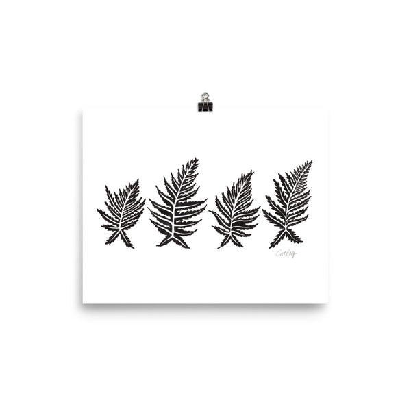 Inked Ferns – Black Ink • Art Print