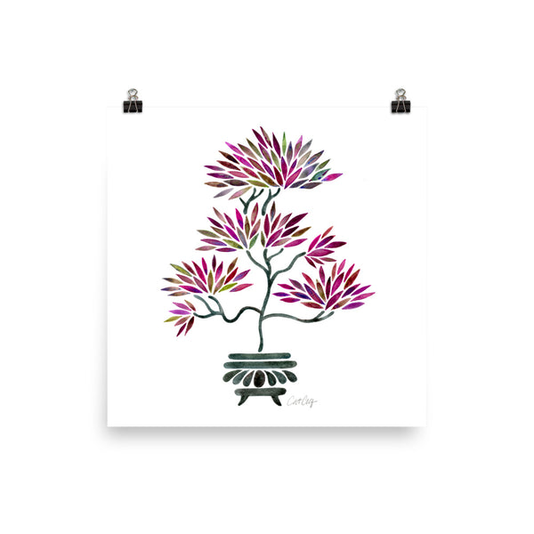 Bonsai - Fuchsia