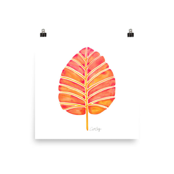 Elephant Ear Alocasia – Melon Palette • Art Print