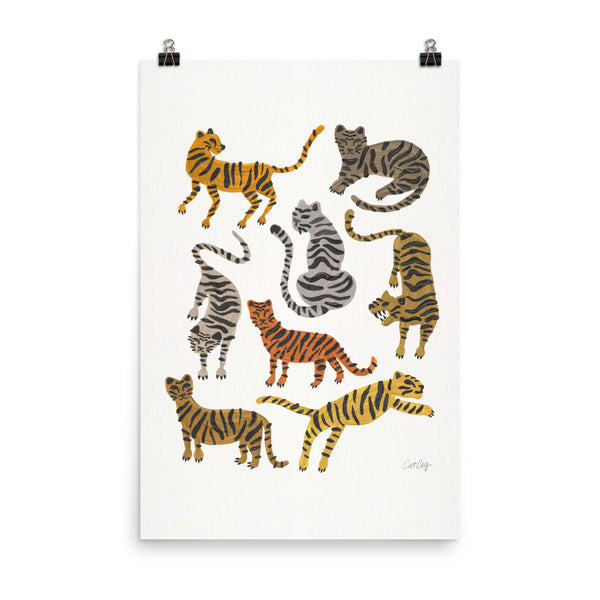 Tiger Collections - Neutrals