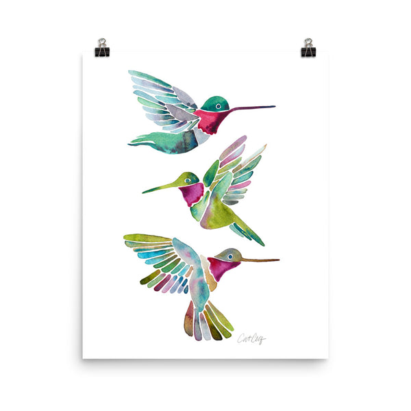 Humming Bird - Transparent