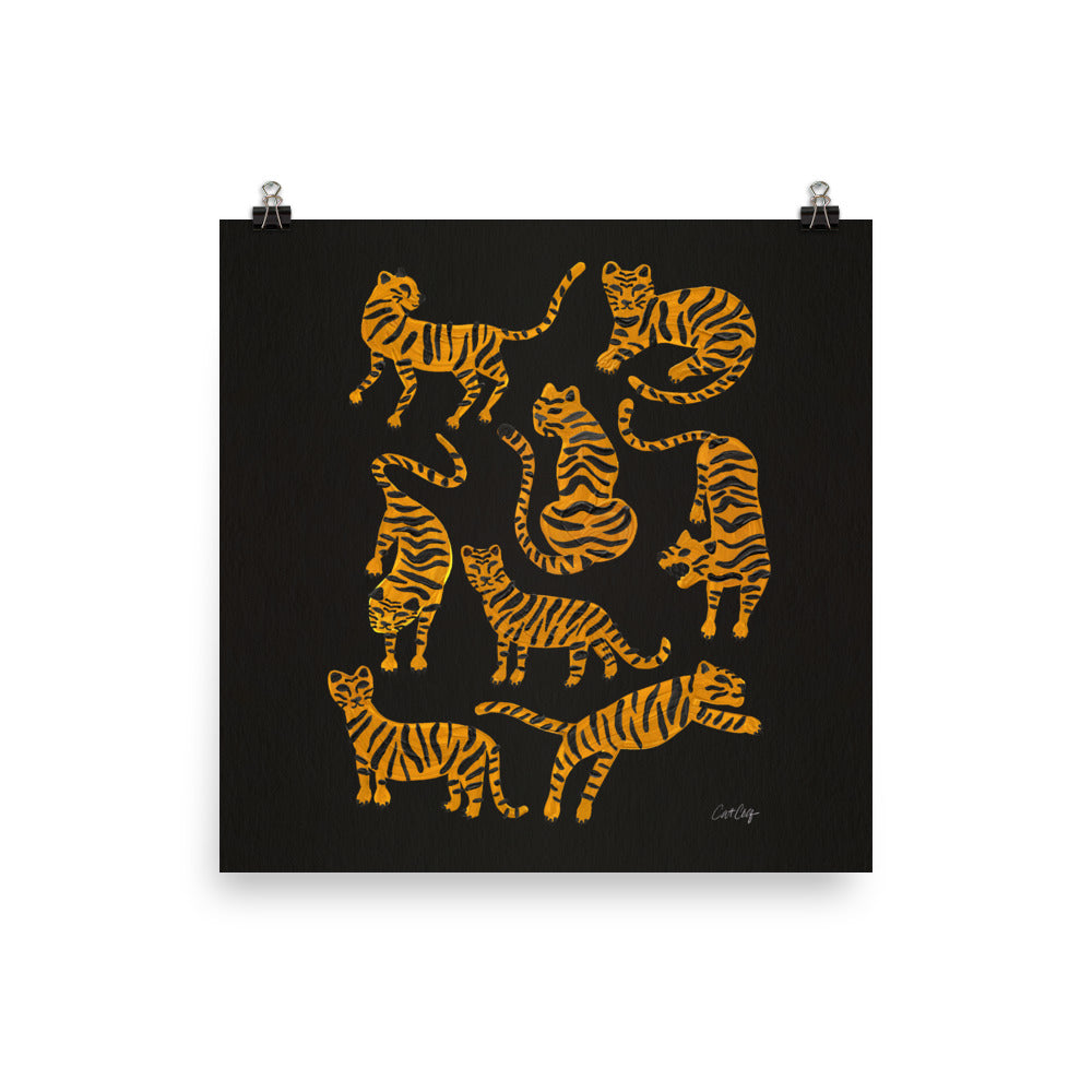 Tiger Collection - Black & Gold