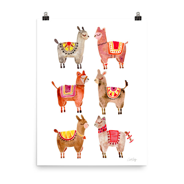 Alpacas  •  Art Print