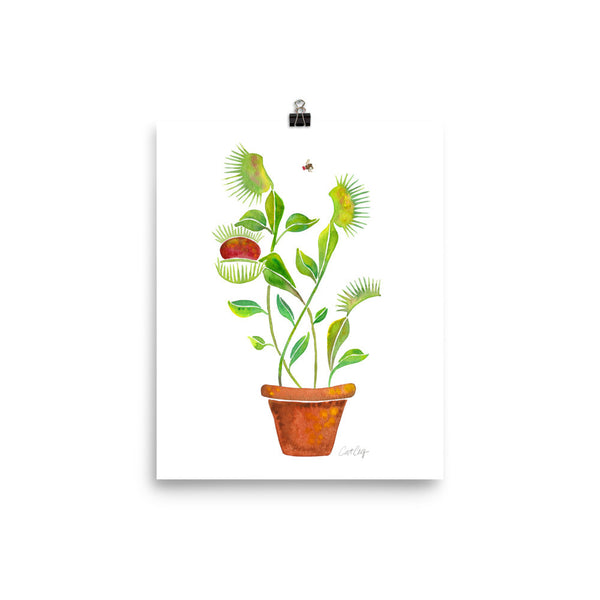 Venus Fly Trap • Art Print