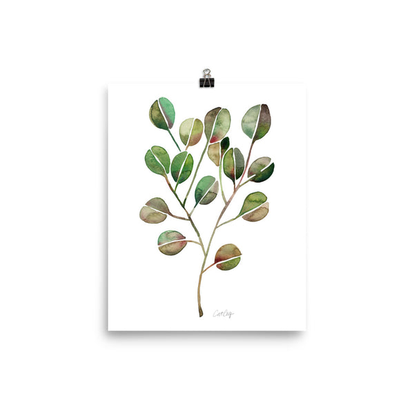 Eucalyptus - Green