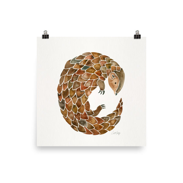 Pangolin • Art Print