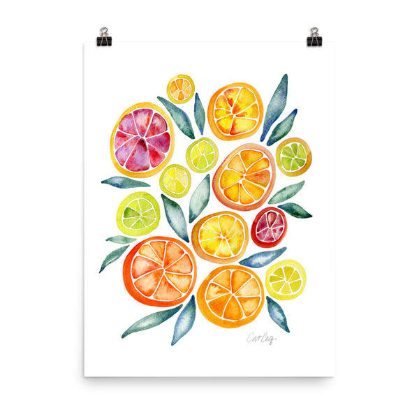 Citrus Slices • Art Print
