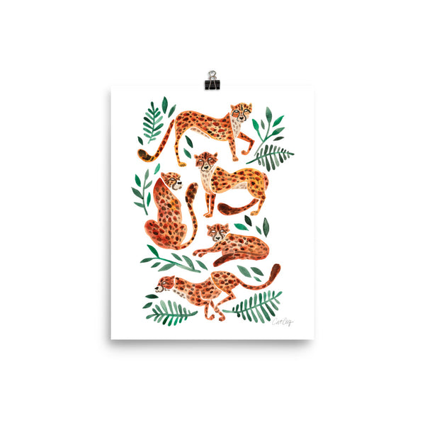 Cheetah Collection - Orange