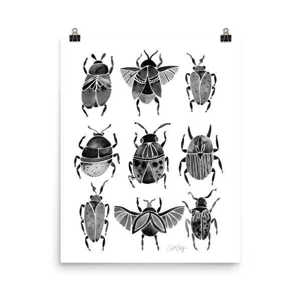 Beetle Collection - Black