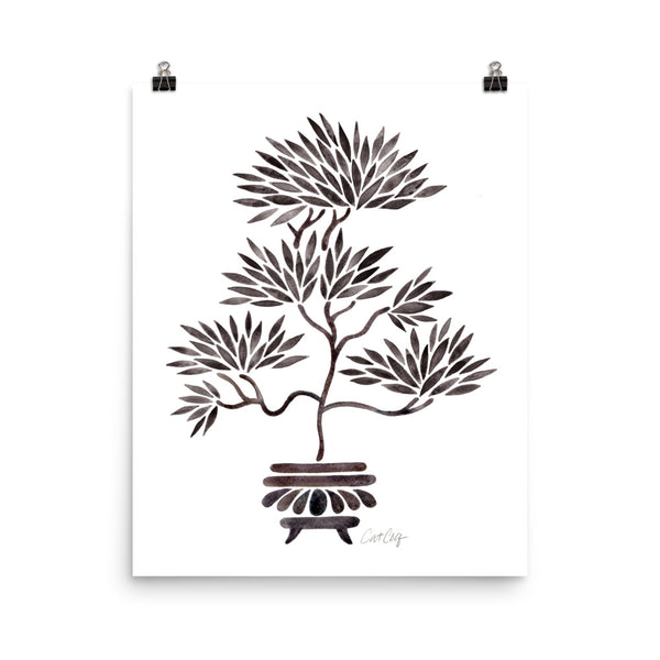 Bonsai- Black