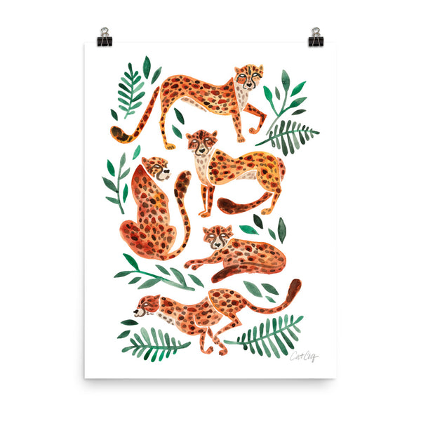 Cheetah Collection - Orange