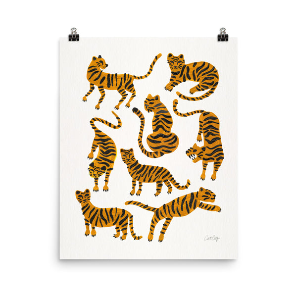 Tiger Collection - Orange
