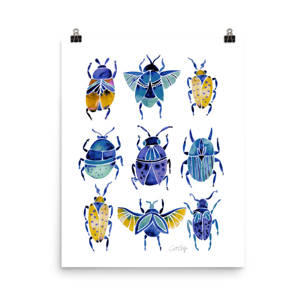 Beetle Collection - Blue Yellow