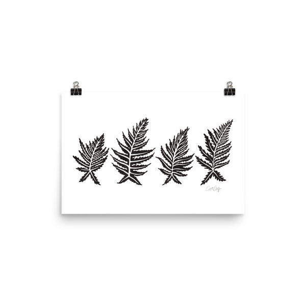 Inked Ferns – Black Ink • Art Print