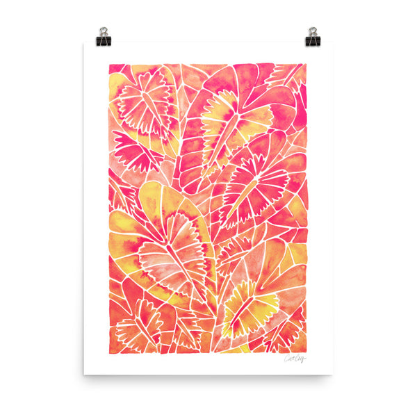 Schismatoglottis Calyptrata – Pink Palette • Art Print