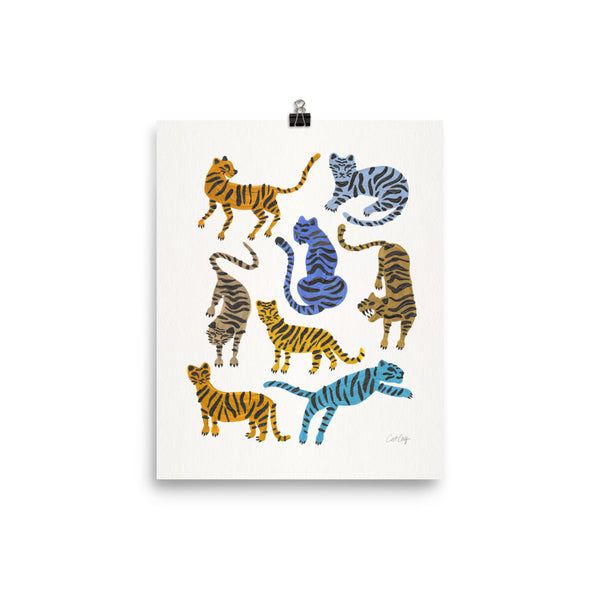 Tiger Collection - Blue & Tan