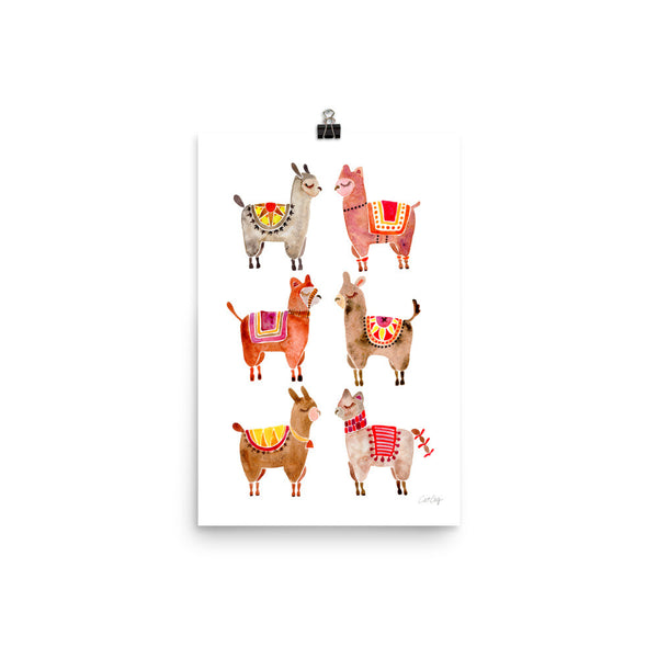 Alpacas  •  Art Print