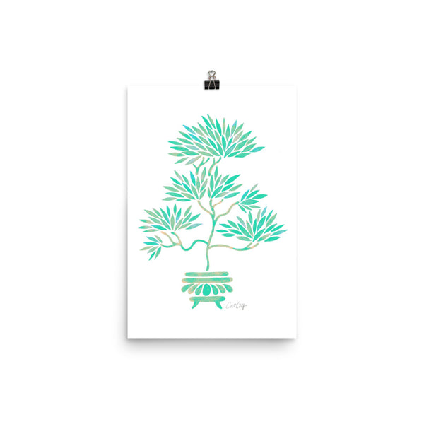 Bonsai  -Turquoise