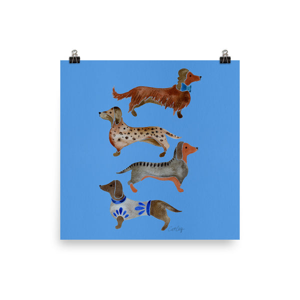Dachshunds – Cornflower Blue Palette • Art Print