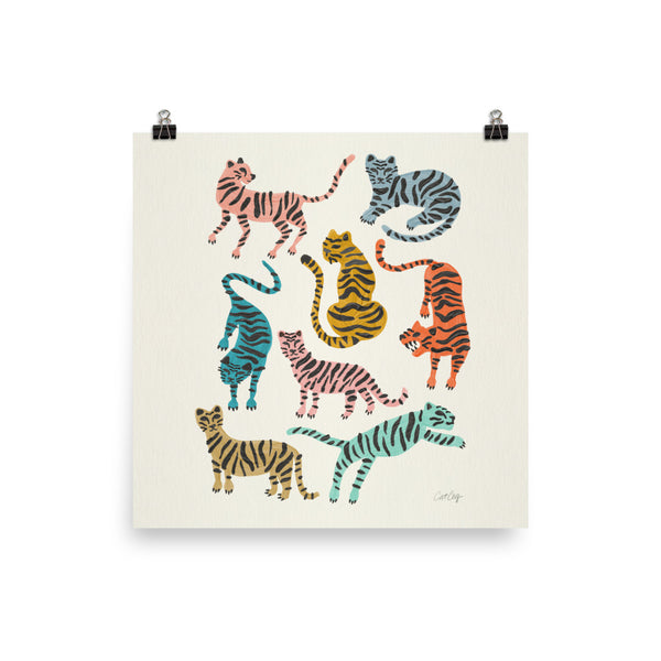 Tiger Collection - Retro Rainbow