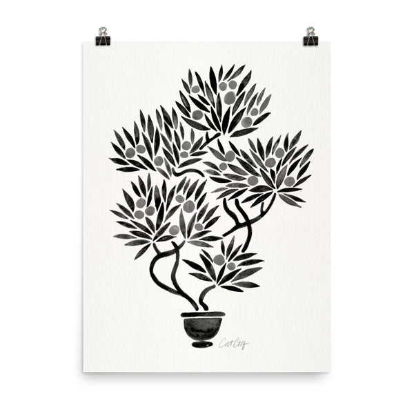 Bonsai Fruit Tree – Black Palette • Art Print