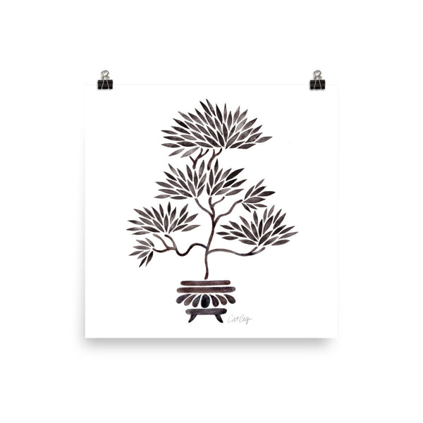 Bonsai- Black